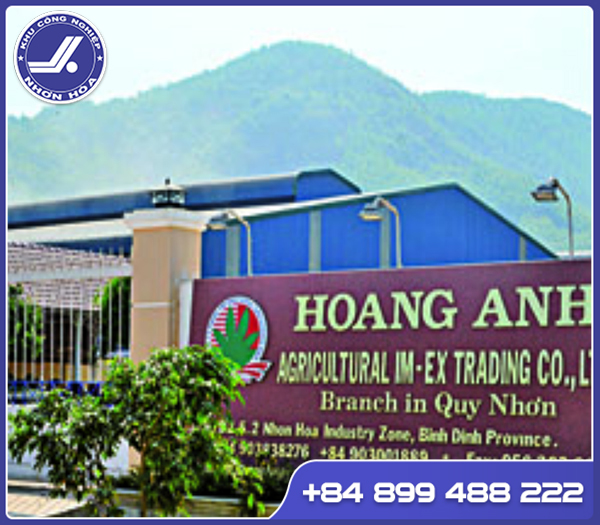 Hoang Anh Agricultural Import and Export Trading Company Limited